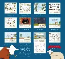 CAL26 (3).webp