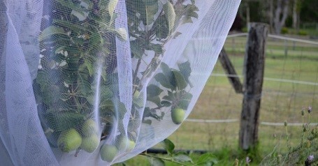 Insect Netting - Square 2.4m