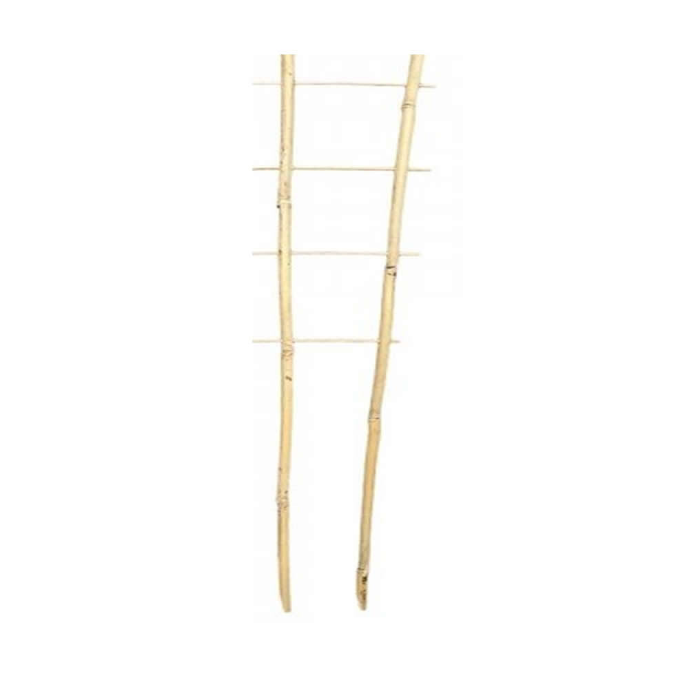 Bamboo Ladder Trellis Small 35cm