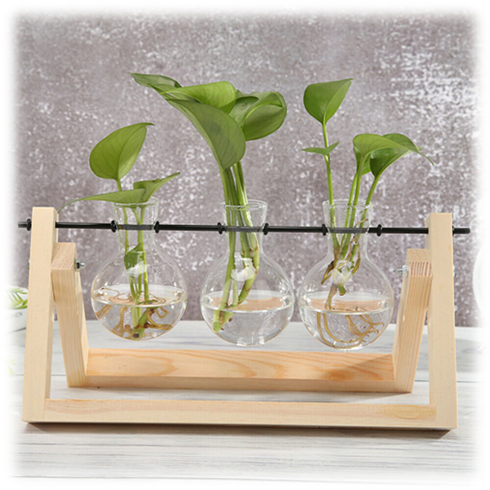 Propagation Station - 3 Station