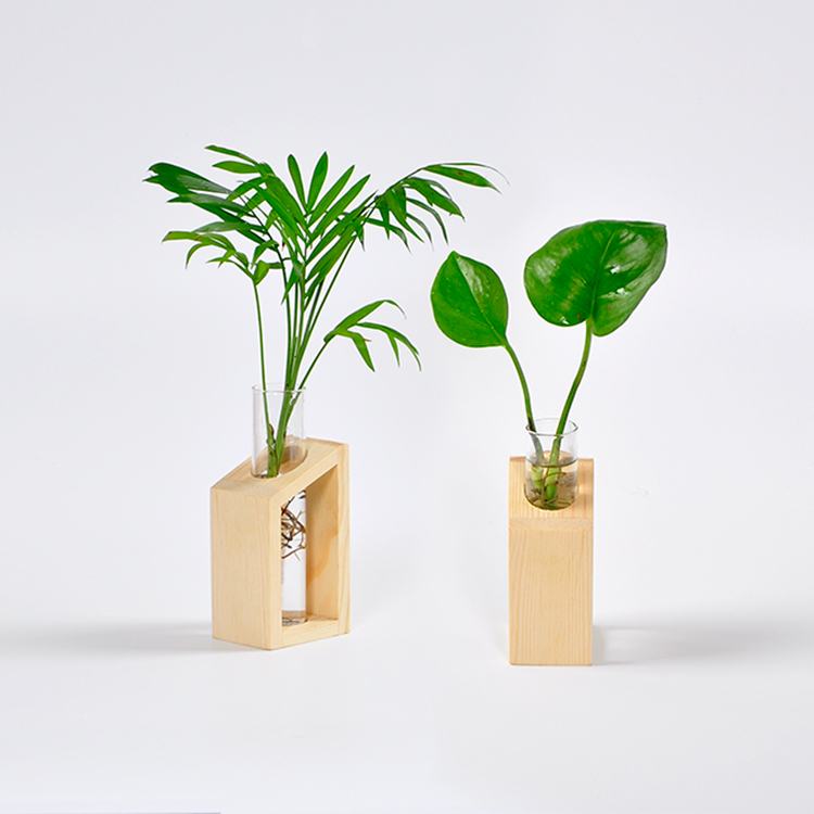 Test Tube Propagation Station