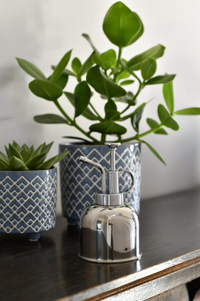 Indoor Plant Mister - Stainless Steel