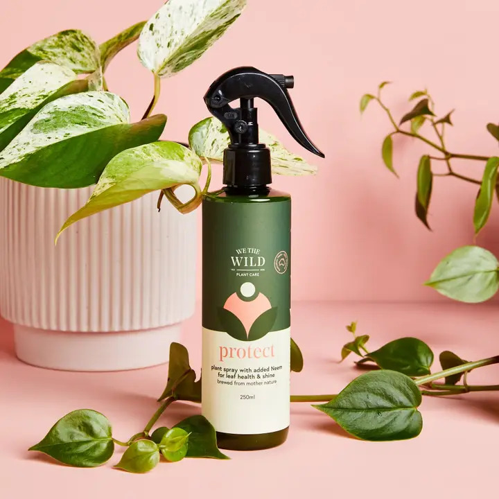 Protect Spray With Neem Oil