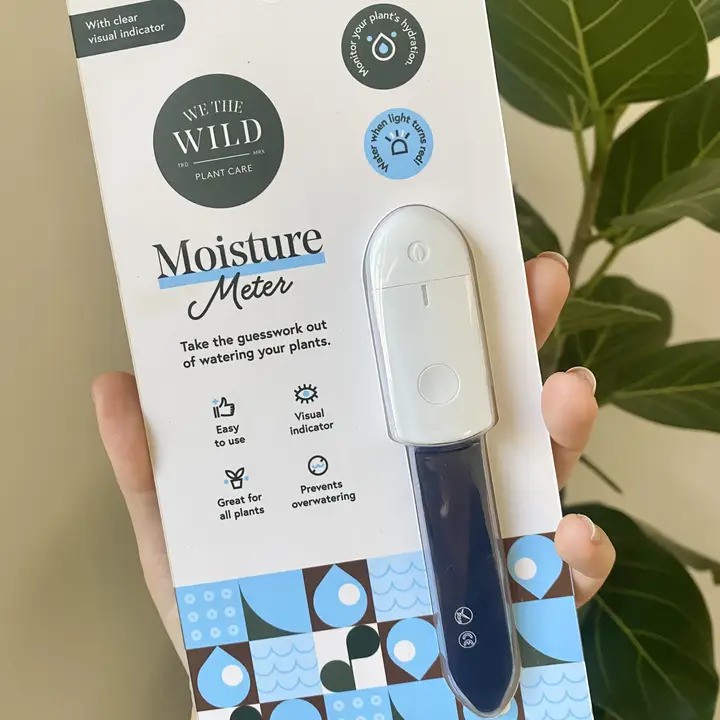 Moisture Meter