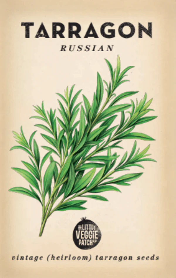 Heirloom Seeds - Tarragon 'Russian'