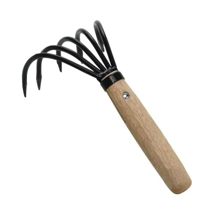 Asano Japanese Ninja Claw