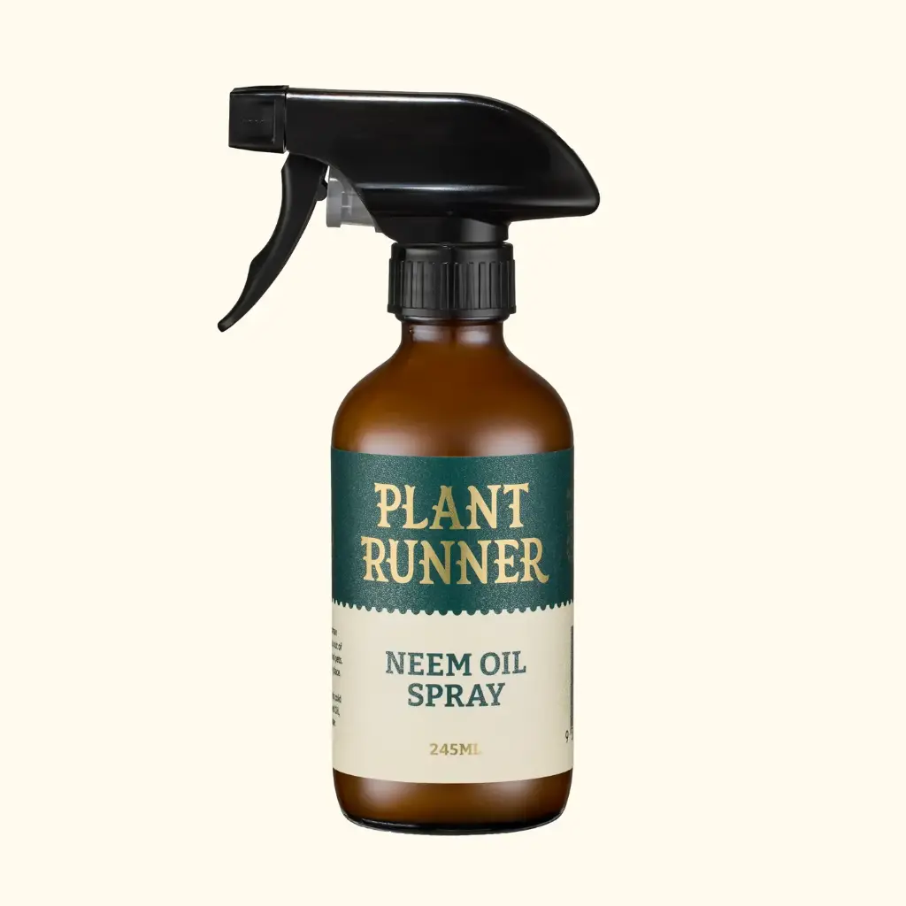 Neem Oil Leaf Shine
