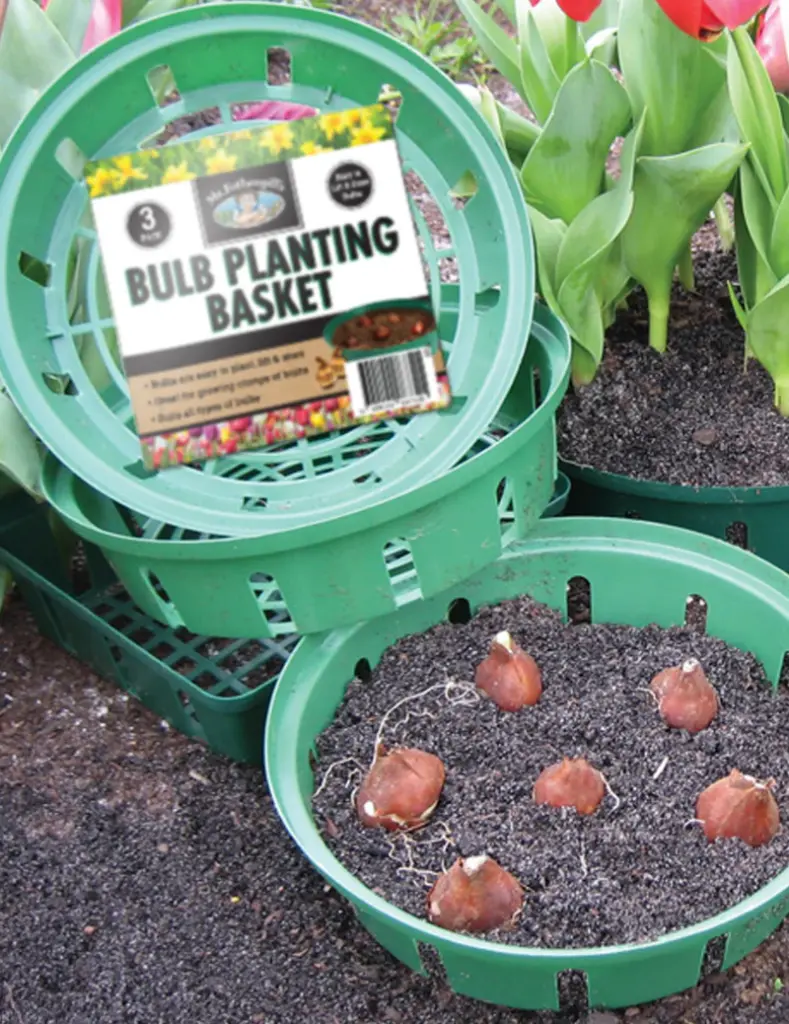 Bulb Planting & Storage Baskets - Set of 3