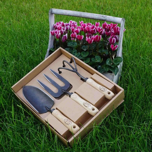[2989] DeWit Gift Box Garden Set