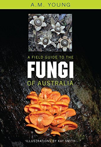 [9780868407425] Field Guide to the Fungi of Australia