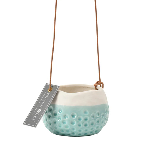 [2479] Hanging Pot Baby Dotty
