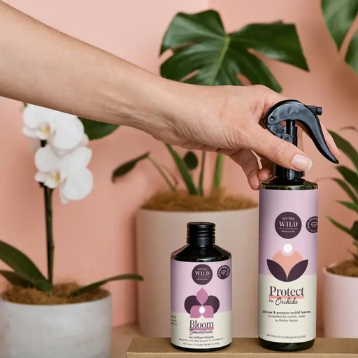 [F-RT05-0] Orchid Care Duo