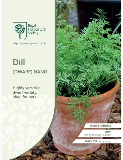 [4136] RHS Seeds - Dill (Dwarf) Nano