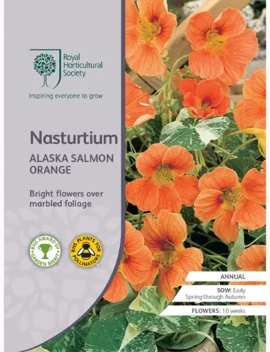 [4201] RHS Seeds - Nasturtium Alaska Salmon Orange