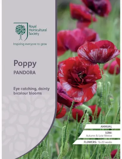 [4203] RHS Seeds - Poppy Pandora