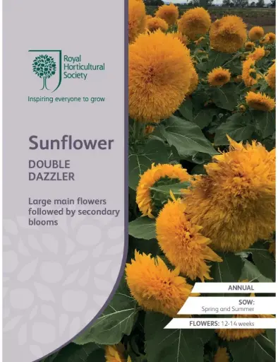 [5011775042053] RHS Seeds - Sunflower Double Dazzler