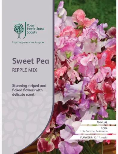 [4209] RHS Seeds - Sweet Pea Ripple Mix