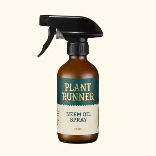 [PR-102A] Neem Oil Leaf Shine