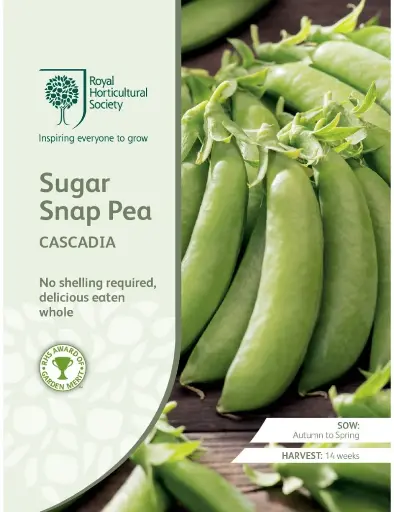 [4128] RHS Seeds - Massey Gem Dwarf Pea Seeds